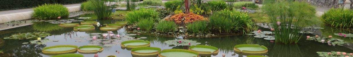 https://easyads.biz/wp-content/uploads/2022/01/Biltmore-Water-Garden.jpg