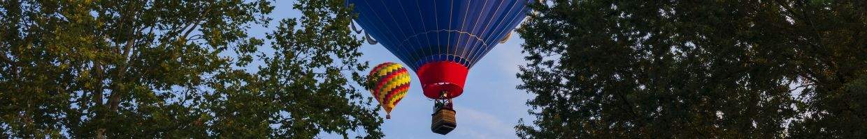 https://easyads.biz/wp-content/uploads/2022/02/35th-annual-Spiedie-Fest-and-Balloon-Rally-Expo.jpg