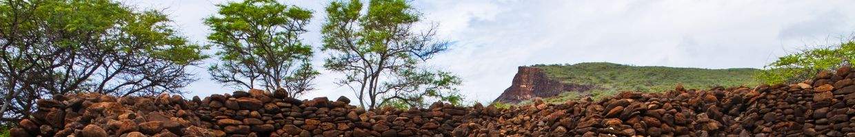 https://easyads.biz/wp-content/uploads/2022/02/Ancient-Hawaiian-Religious-Temple.jpg