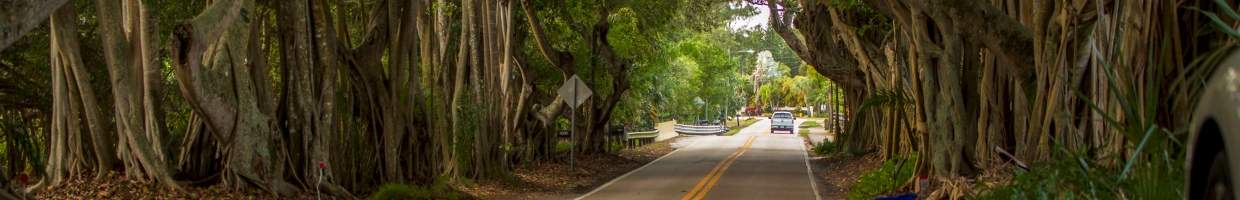 https://easyads.biz/wp-content/uploads/2022/02/Banyan-Tree-Road-Stuart-Florida-in-Martin-County.jpg