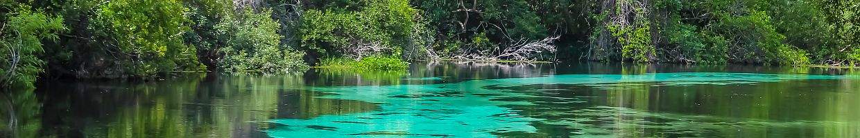 https://easyads.biz/wp-content/uploads/2022/02/Blue-Weeki-Wachee-Spings-River-view.jpg