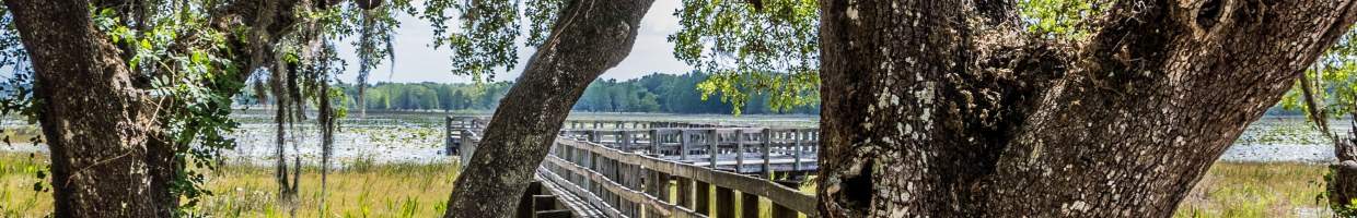 https://easyads.biz/wp-content/uploads/2022/02/Boardwalk-at-Crews-Lake-Wilderness-Park-near-Springhill-Florida.jpg