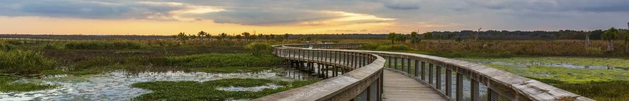 https://easyads.biz/wp-content/uploads/2022/02/Boardwalk-through-a-wetland-near-Gainesville-Florida.jpg