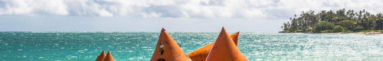 https://easyads.biz/wp-content/uploads/2022/02/Buoys-on-the-beach-in-Maui.jpg