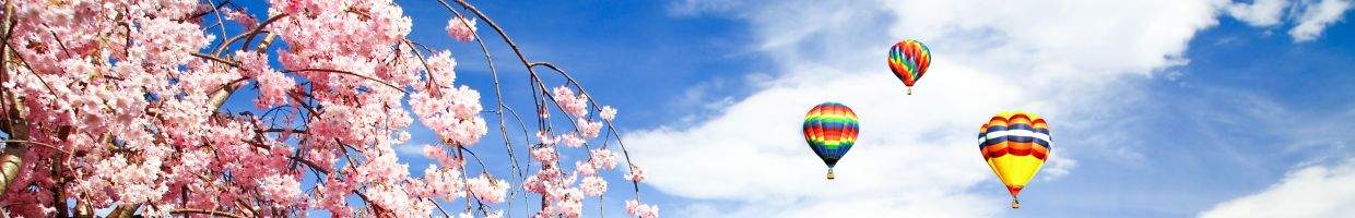 https://easyads.biz/wp-content/uploads/2022/02/Cherry-Blossom-Festival-in-New-Jersey.jpg
