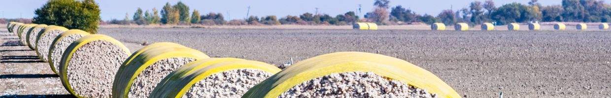 https://easyads.biz/wp-content/uploads/2022/02/Cotton-bales-arranged-in-a-row-in-Central-California.jpg