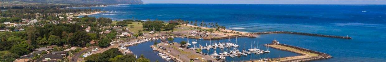 https://easyads.biz/wp-content/uploads/2022/02/Haleiwa-boat-harbor.jpg