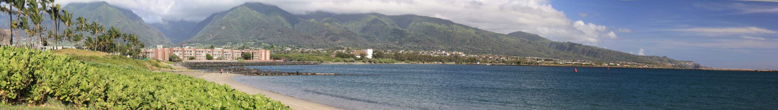 https://easyads.biz/wp-content/uploads/2022/02/Kahului-Harbor-looking-northeast-with-hotelscondos-and-housing-scaled.jpeg