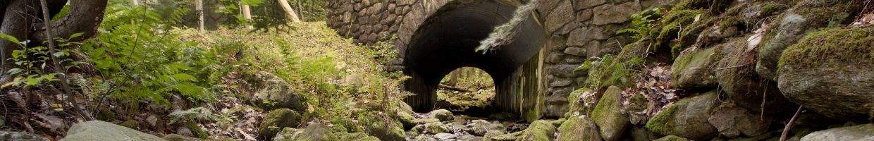 https://easyads.biz/wp-content/uploads/2022/02/Lulu-Brook-and-tunnel-in-Pittsfield-Massachusetts.jpg