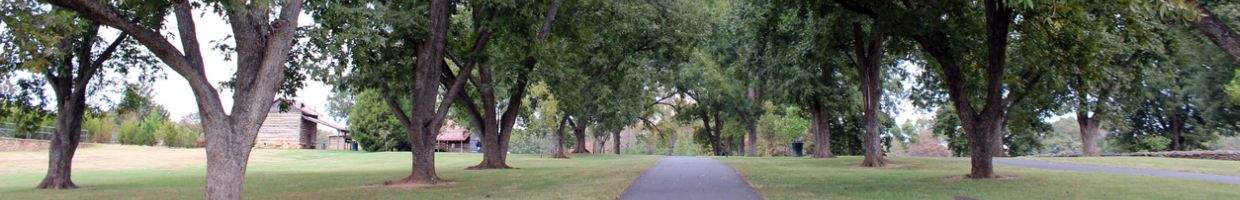 https://easyads.biz/wp-content/uploads/2022/02/Mature-Pecan-Tree-Grove-at-Joyner-Park-in-Wake-Forest-North-Carolina.jpg