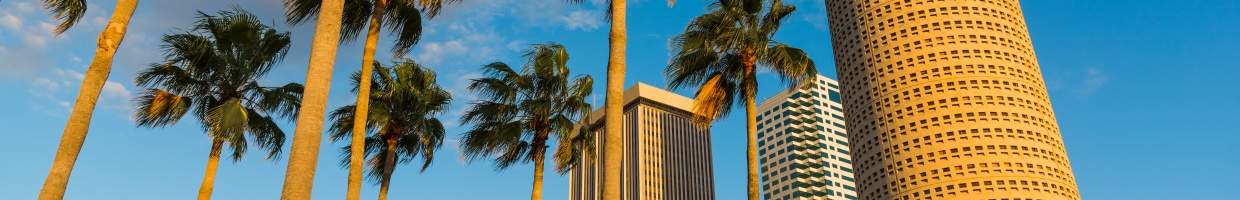 https://easyads.biz/wp-content/uploads/2022/02/Palm-trees-and-skyscrapers-in-downtown-Tampa-Florida.jpg