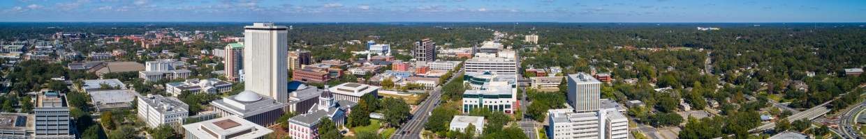 https://easyads.biz/wp-content/uploads/2022/02/Panorama-of-Downtown-Tallahassee-Florida.jpg