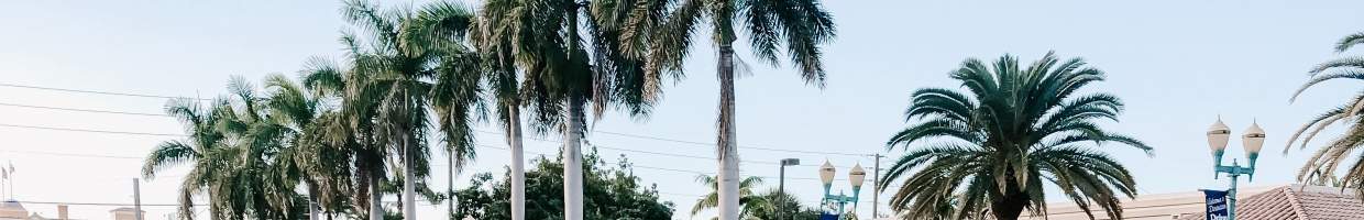 https://easyads.biz/wp-content/uploads/2022/02/Parked-white-coupe-with-row-of-palms-in-Miami-Florida.jpg