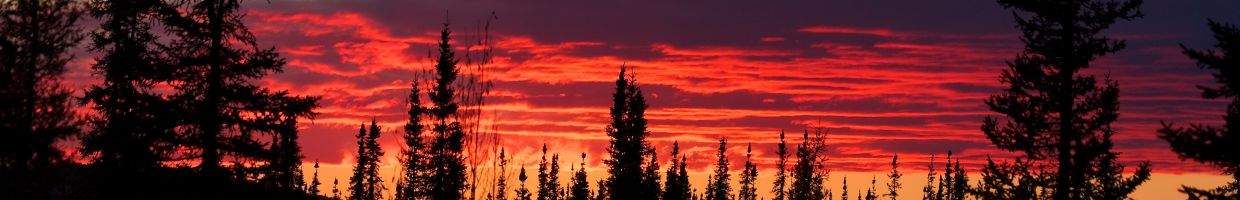 https://easyads.biz/wp-content/uploads/2022/02/Red-sunset-behind-forest-near-Fairbanks.jpg