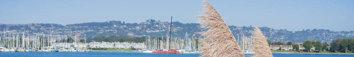 https://easyads.biz/wp-content/uploads/2022/02/Richmond-marina-near-San-Francisco-bay-California.jpg