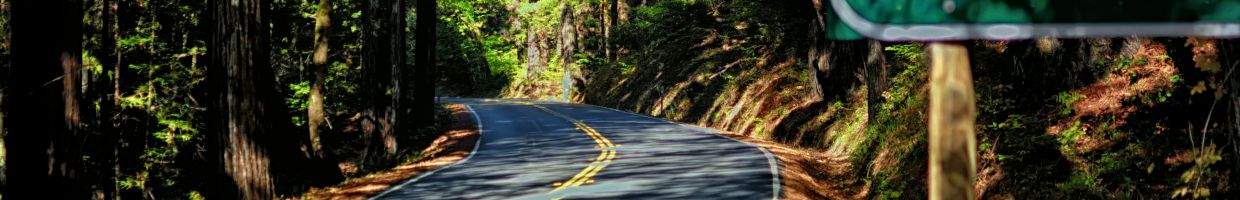 https://easyads.biz/wp-content/uploads/2022/02/Road-through-the-California-Redwoods.jpg