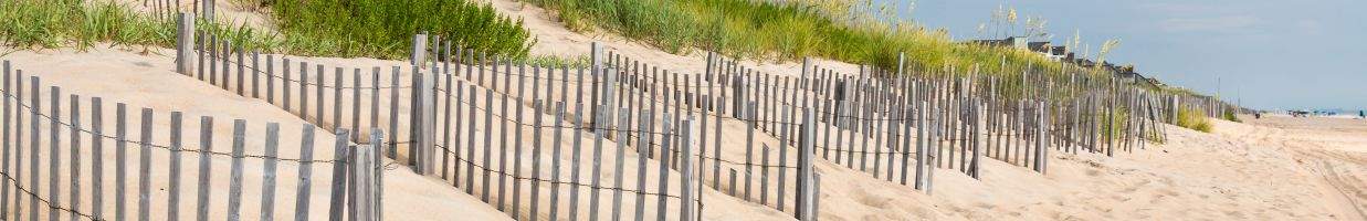 https://easyads.biz/wp-content/uploads/2022/02/Rows-of-sand-fences-line-the-beach-in-Nags-Head-North-Carolina.jpg