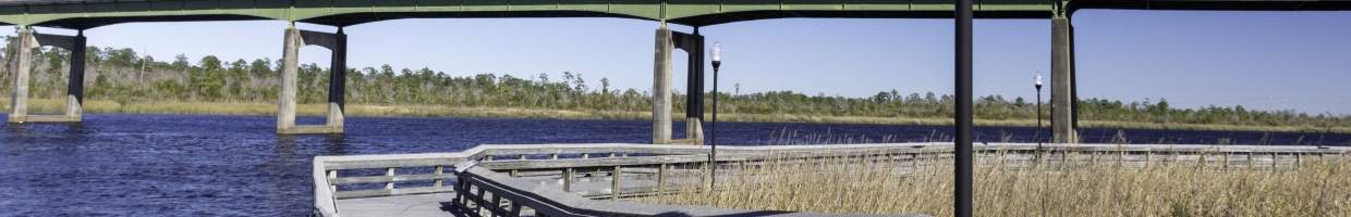 https://easyads.biz/wp-content/uploads/2022/02/Saltmarsh-in-the-lowcountry-at-Woodbine-Georgia.jpg