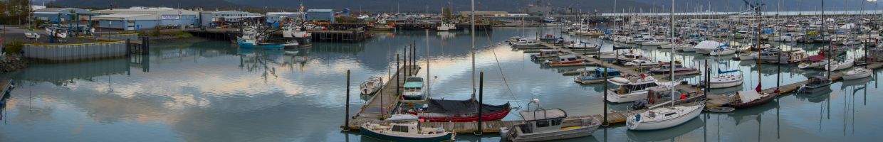 https://easyads.biz/wp-content/uploads/2022/02/Seward-Boat-Harbor.jpg