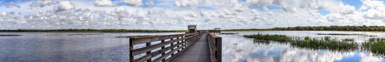 https://easyads.biz/wp-content/uploads/2022/02/The-flooded-swamp-of-Myakka-River-State-Park.jpg