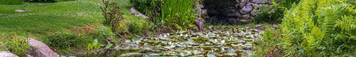 https://easyads.biz/wp-content/uploads/2022/02/The-lilypond-at-Historic-Blithewold-Mansion-Gardens-Arboretum-in-Bristol-Rhode-Island.jpg