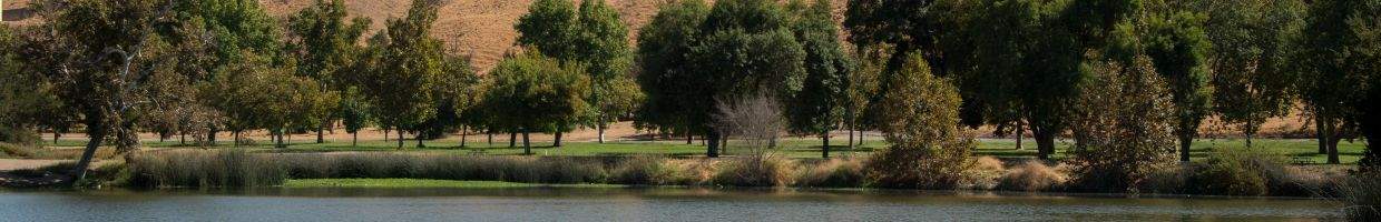 https://easyads.biz/wp-content/uploads/2022/02/Trees-of-Bakersfield-California.jpg