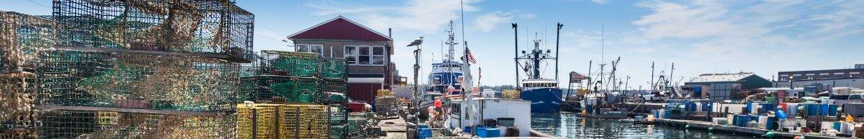 https://easyads.biz/wp-content/uploads/2022/02/Union-Wharf-lobster-traps-on-Portlands-working-waterfront.jpg