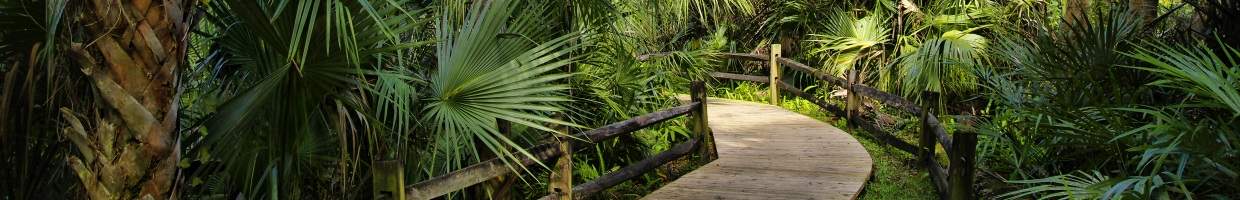 https://easyads.biz/wp-content/uploads/2022/02/Wooden-boardwalk-in-the-Ocala-National-Forest-located-in-Juniper-Springs-Florida.jpg