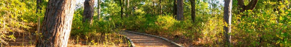 https://easyads.biz/wp-content/uploads/2022/02/Wooden-walkway-in-Chincoteague-Wildlife-Refuge-Virginia.jpg