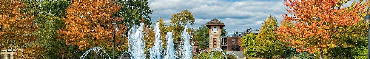 https://easyads.biz/wp-content/uploads/2022/03/A-Water-Fountain-And-Clock-Tower-In-Naperville-Illinois.jpg