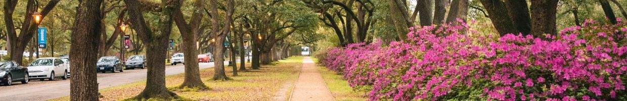 https://easyads.biz/wp-content/uploads/2022/03/A-path-at-Rice-University-Houston-Texas.jpg