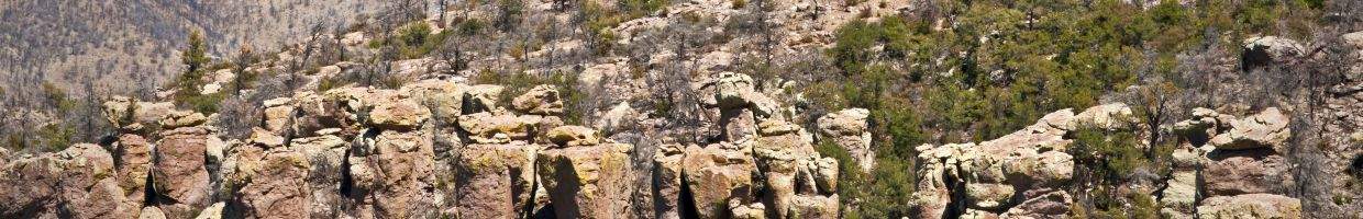 https://easyads.biz/wp-content/uploads/2022/03/A-rock-formation-in-the-Chiricahua-National-Monument-in-southeastern-Arizona-called-Cochise-Head.jpg