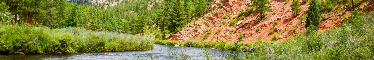 https://easyads.biz/wp-content/uploads/2022/03/Colorado-Trout-Fishing-on-the-South-Platte-River.jpg