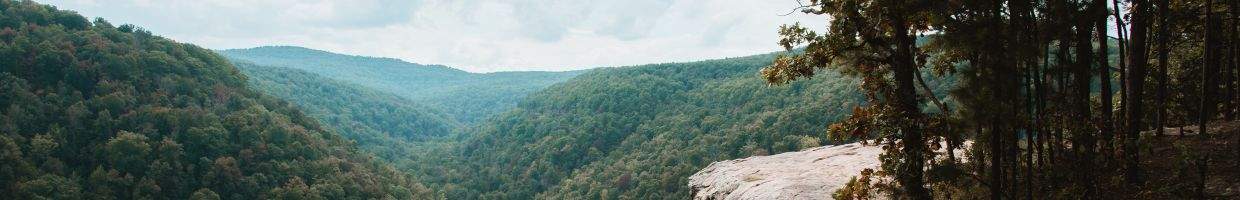 https://easyads.biz/wp-content/uploads/2022/03/Hawksbill-Crag-Whitaker-Point-in-Arkansas-near-Fayetteville.jpg