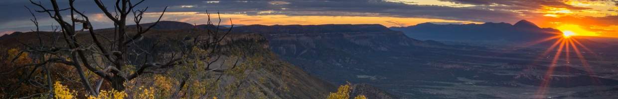 https://easyads.biz/wp-content/uploads/2022/03/In-Mesa-Verde-National-Park.jpg