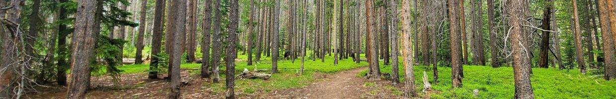 https://easyads.biz/wp-content/uploads/2022/03/Little-Laramie-Wyoming-Meadow-Trail.jpg