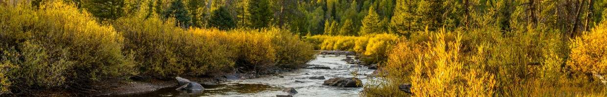 https://easyads.biz/wp-content/uploads/2022/03/Middle-Fork-Elk-River-near-Steamboat-Springs-Colorado.jpg