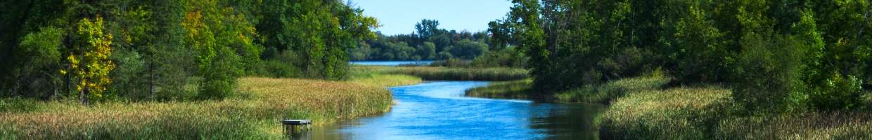 https://easyads.biz/wp-content/uploads/2022/03/Mississippi-River-flows-north-toward-Bemidji-Minnesota.jpg