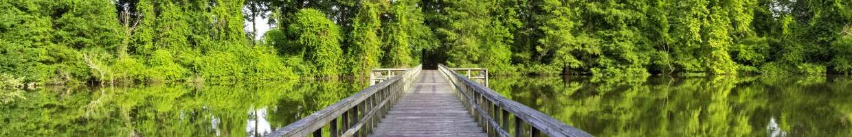 https://easyads.biz/wp-content/uploads/2022/03/Pond-in-Alabama-and-wooden-foot-bridge-across.jpg