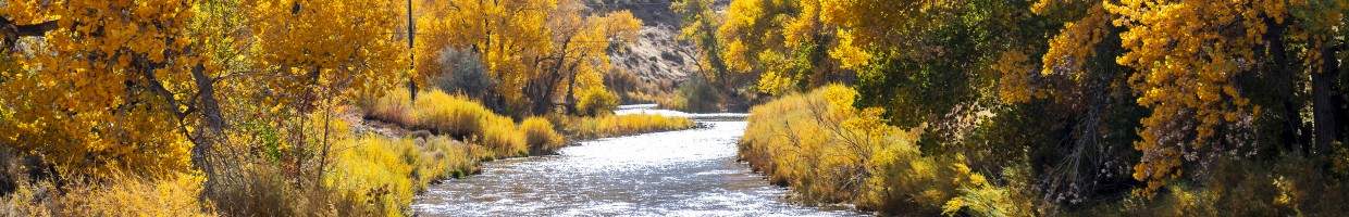 https://easyads.biz/wp-content/uploads/2022/03/River-Runs-Through-It-outside-Reno-Nevada.jpg