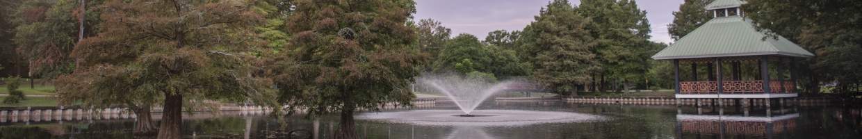 https://easyads.biz/wp-content/uploads/2022/03/Scene-at-Girard-Park-in-Lafayette-Louisiana.jpg