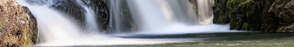 https://easyads.biz/wp-content/uploads/2022/03/Silver-Falls-State-Park-near-Salem-Oregon.jpg