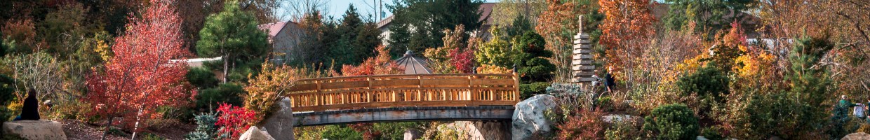 https://easyads.biz/wp-content/uploads/2022/03/The-japanese-gardens-in-Grand-Rapids-Michigan.jpg