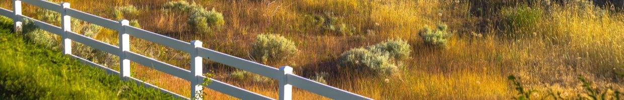 https://easyads.biz/wp-content/uploads/2022/03/Trees-grasses-and-fence-in-Orem-Utah.jpg