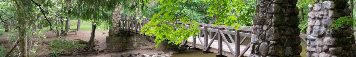 https://easyads.biz/wp-content/uploads/2022/03/Walking-bridge-in-Richfield-County-Park-Michigan.jpg