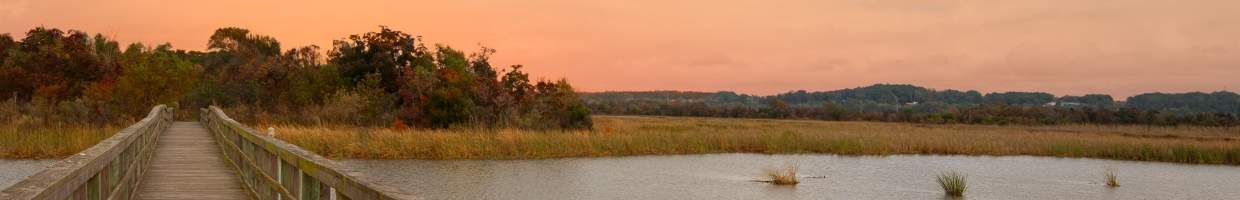 https://easyads.biz/wp-content/uploads/2022/03/Weather-State-Park-eastern-shore-of-Mobile-Bay-Alabama.jpg