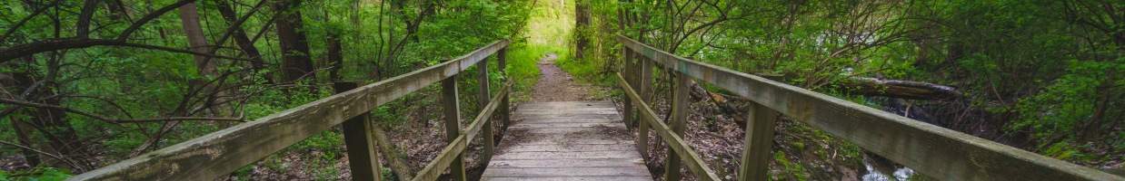 https://easyads.biz/wp-content/uploads/2022/03/wooden-bridge-in-the-forest.jpg